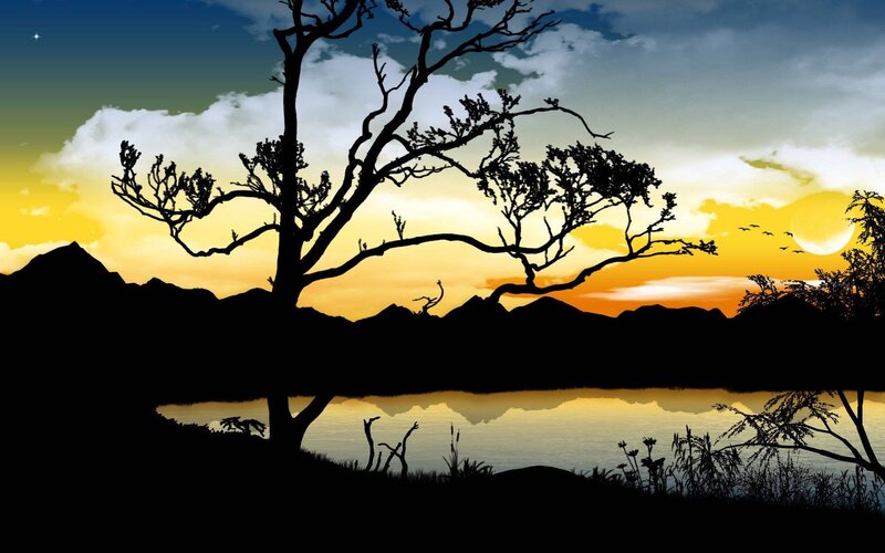 Silhouette Tree at Sunset — Yellow, Serene