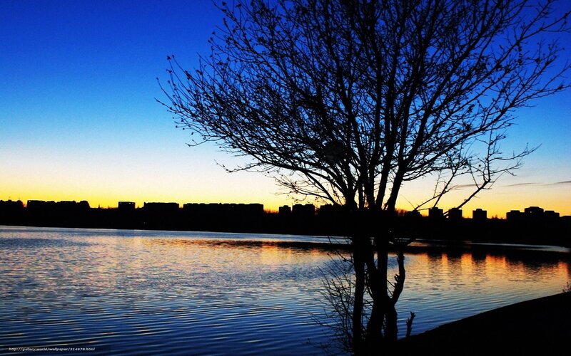 Silhouette Tree by Lake — Blue, Serene, Sunset