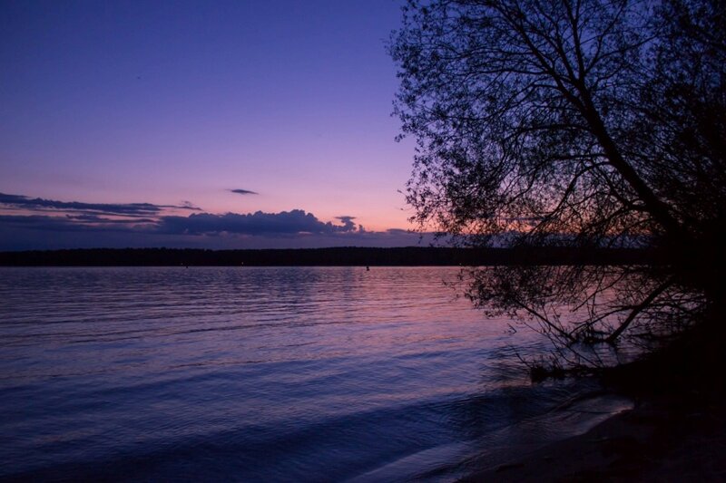 Silhouette Tree by Lake — Purple, Serene