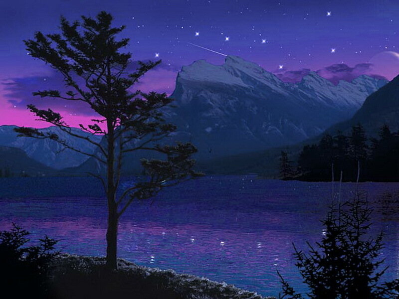 Silhouette Tree by Lake — Purple