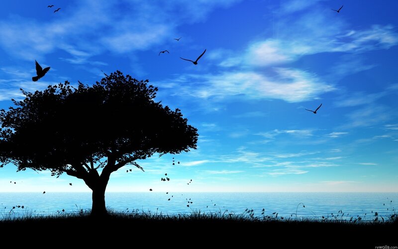 Silhouette Tree by Sea — Blue, Serene