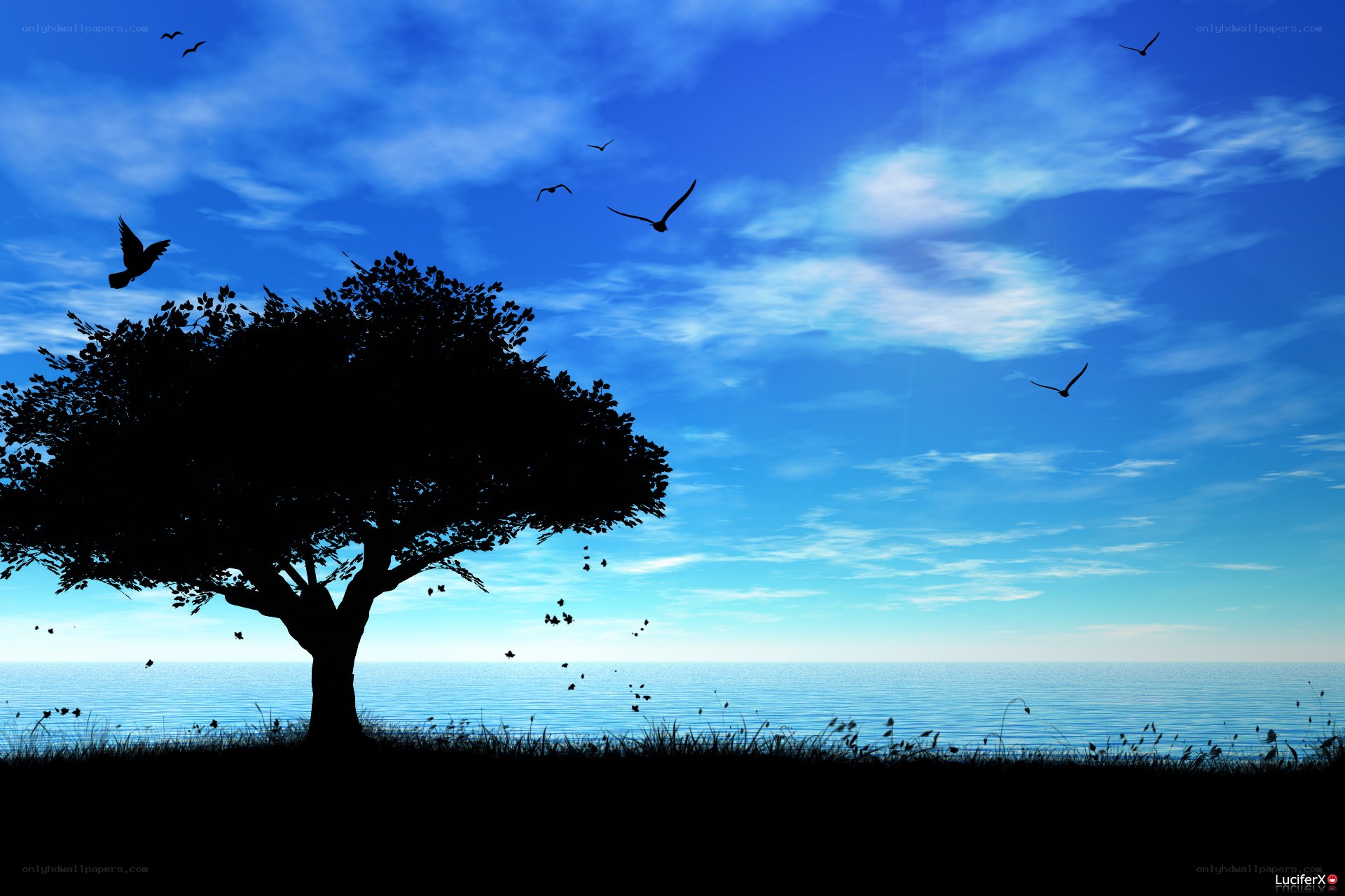 Silhouette tree by the sea