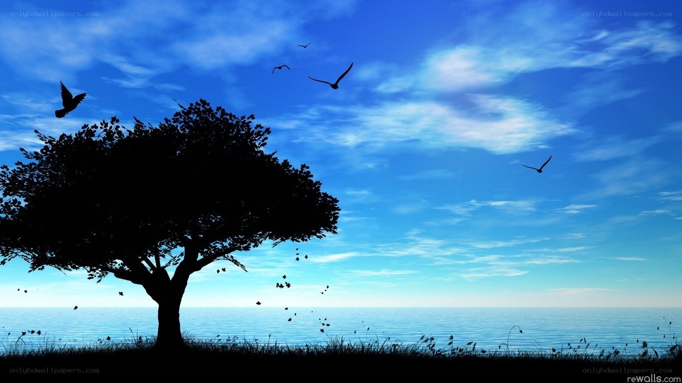 Silhouette tree by the sea