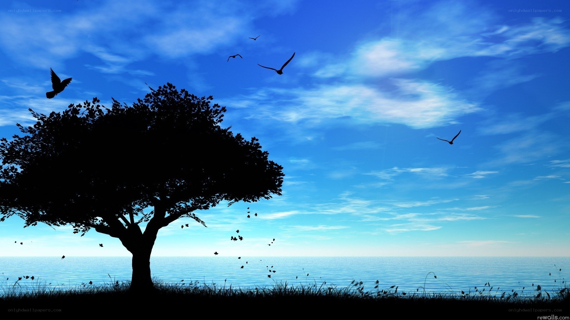 Silhouette tree by the sea