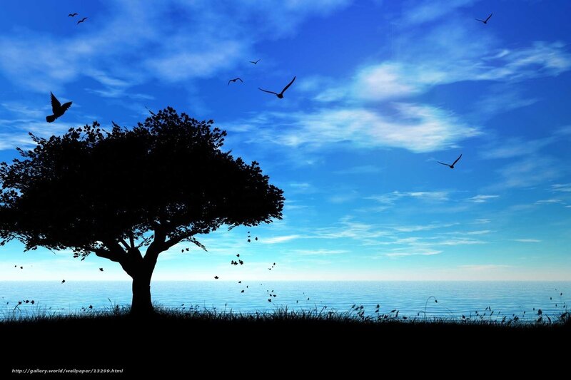Silhouette tree by the sea