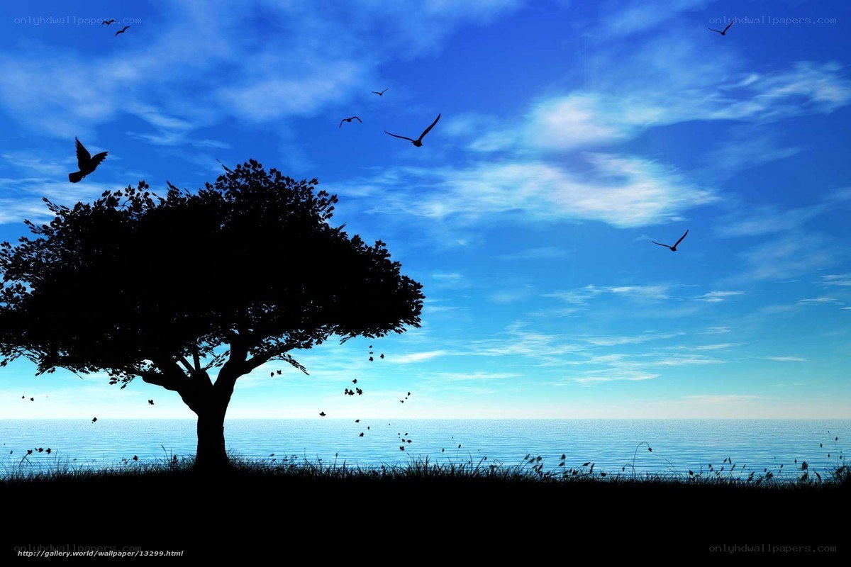 Silhouette tree by the sea
