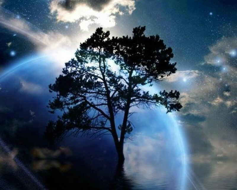 Silhouette Tree in Water — Blue