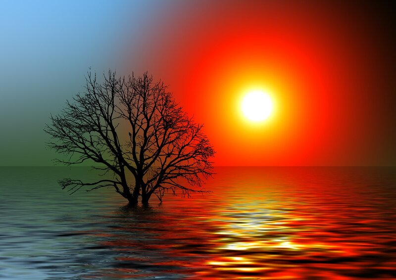 Silhouette Tree in Water — Red