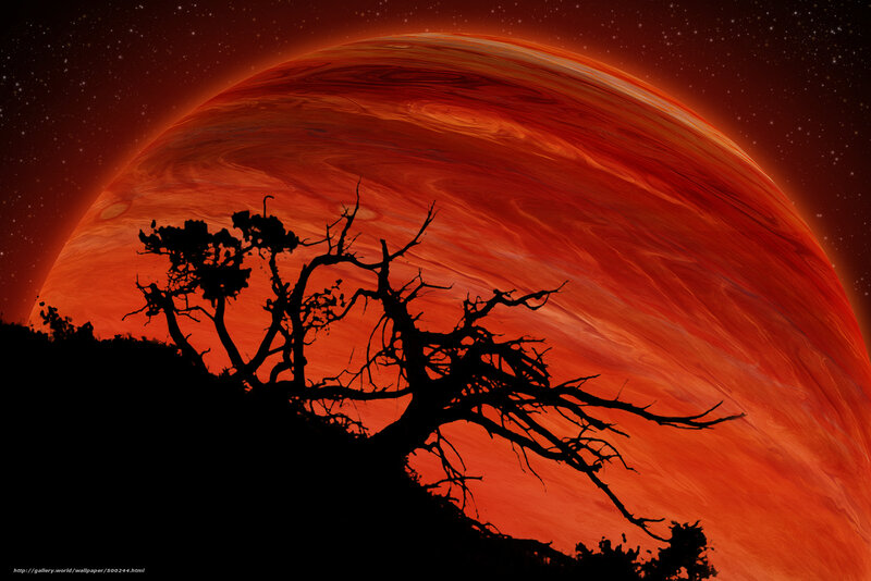 Silhouette tree on alien planet