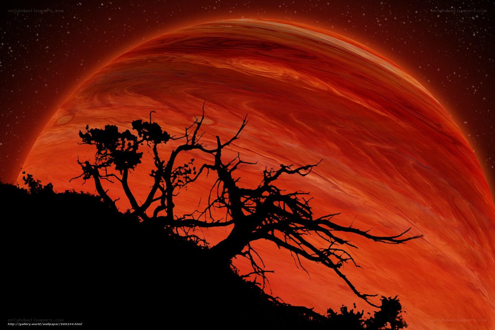 Silhouette tree on alien planet