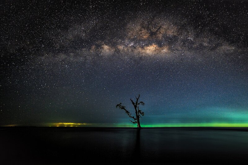 Silhouette Tree on Beach