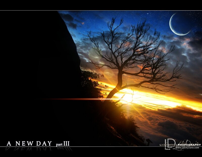 Silhouette Tree on Cliff