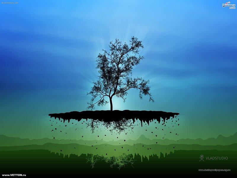 Silhouette tree on floating island