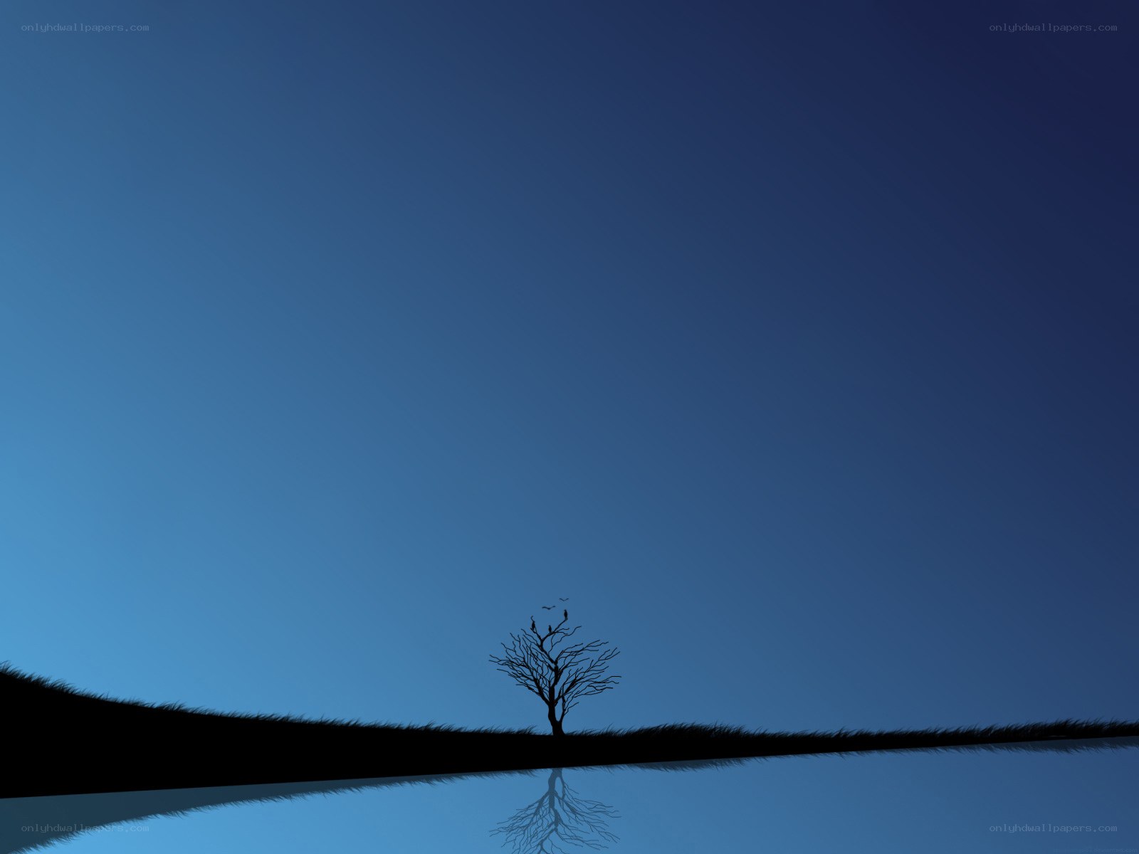 Silhouette tree on hill at dusk