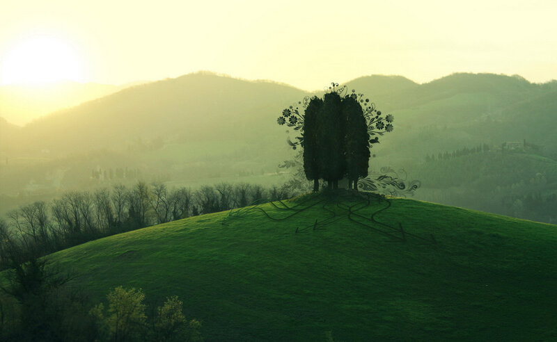 Silhouette tree on hill at sunrise