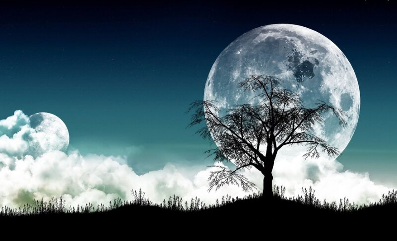 Silhouette Tree on Hill — Black