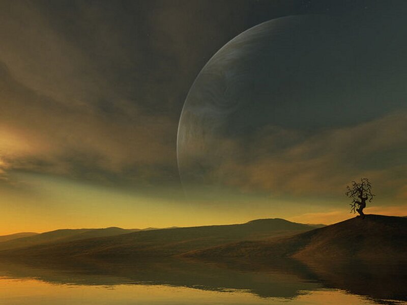 Silhouette Tree on Hill — Brown
