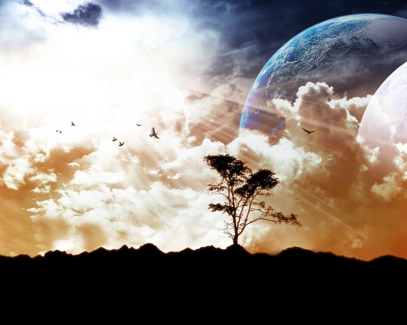 Silhouette Tree on Hill — Orange, Dramatic, Sunset, Digital Art, Birds