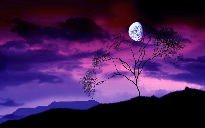 Silhouette Tree on Hill — Purple, Dramatic, Night