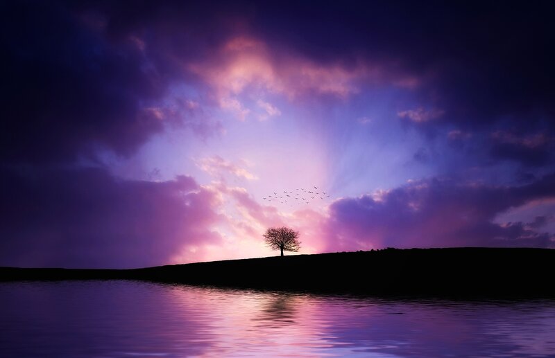 Silhouette Tree on Hill — Purple, Dramatic, Sunset