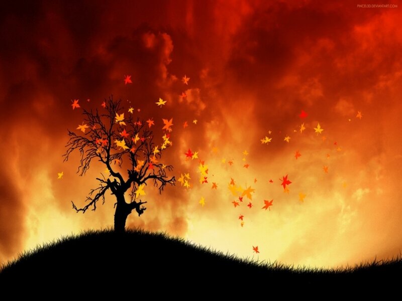 Silhouette Tree on Hill — Red