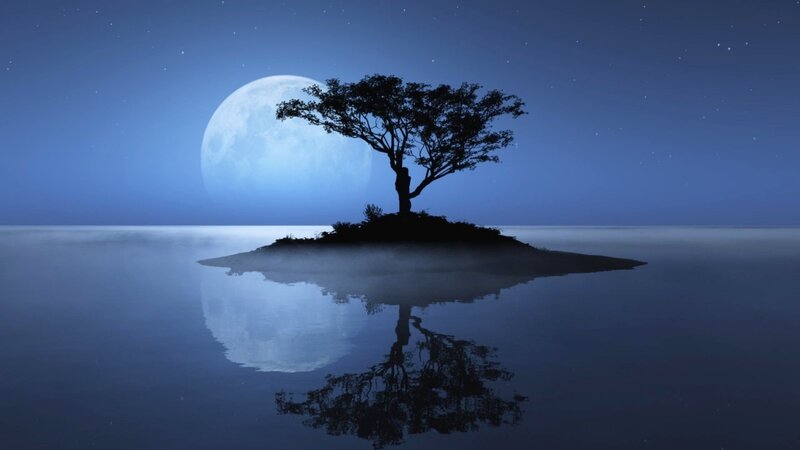 Silhouette Tree on Island — Blue, Serene, Night, Digital Art, Moon, Water, Sky