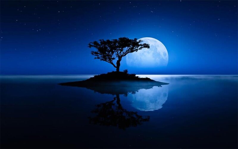 Silhouette Tree on Island — Blue, Serene, Night, Digital Art, Moon, Water, Stars