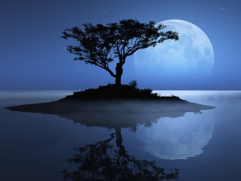 Silhouette Tree on Island — Blue, Serene, Night, Digital Art