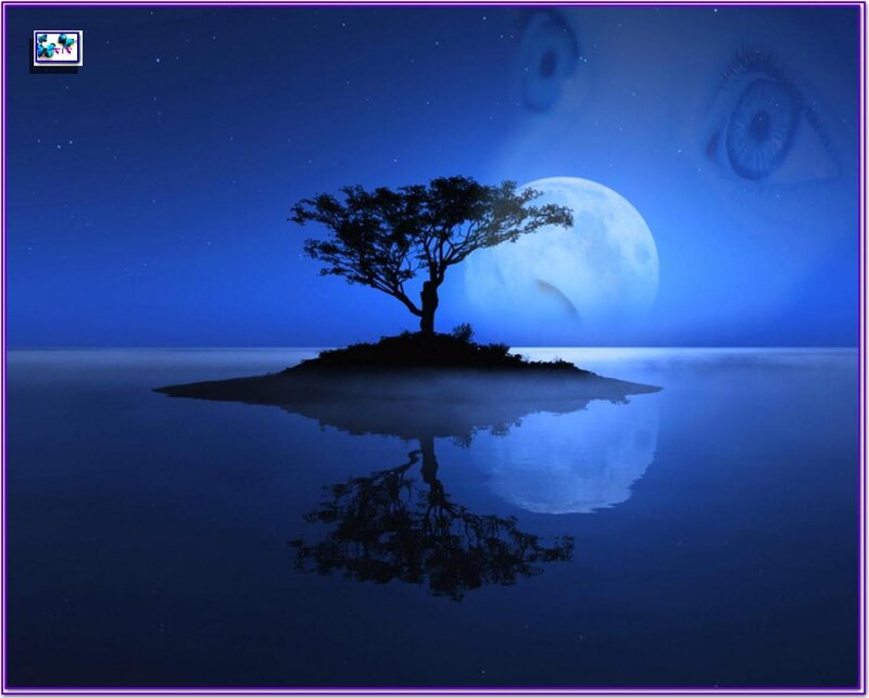 Silhouette Tree on Island — Blue, Serene, Night