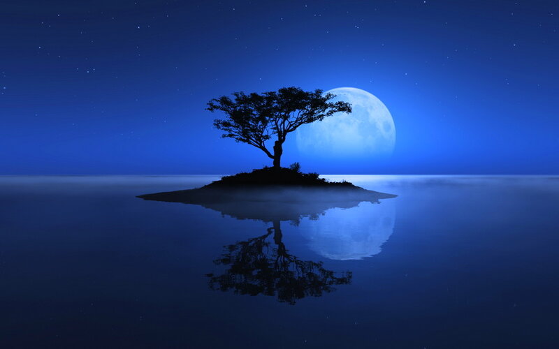 Silhouette Tree on Island — Blue, Serene