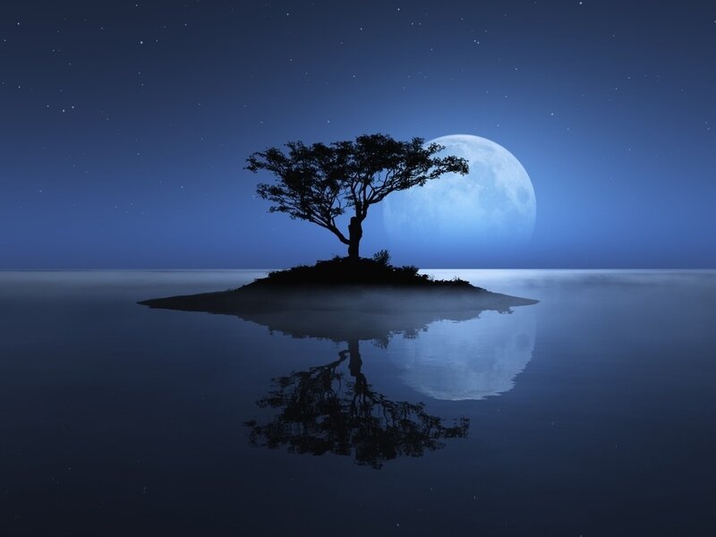 Silhouette Tree on Island — Blue