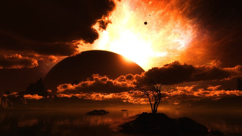 Silhouette Tree on Island — Orange