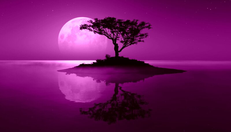 Silhouette Tree on Island — Purple, Serene