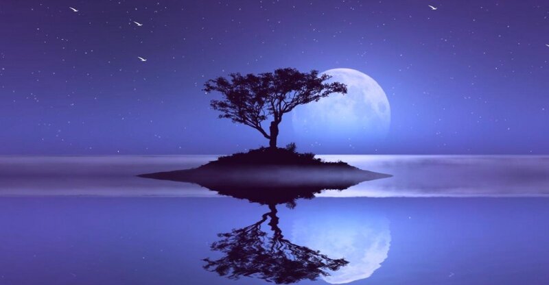 Silhouette Tree on Island — Purple