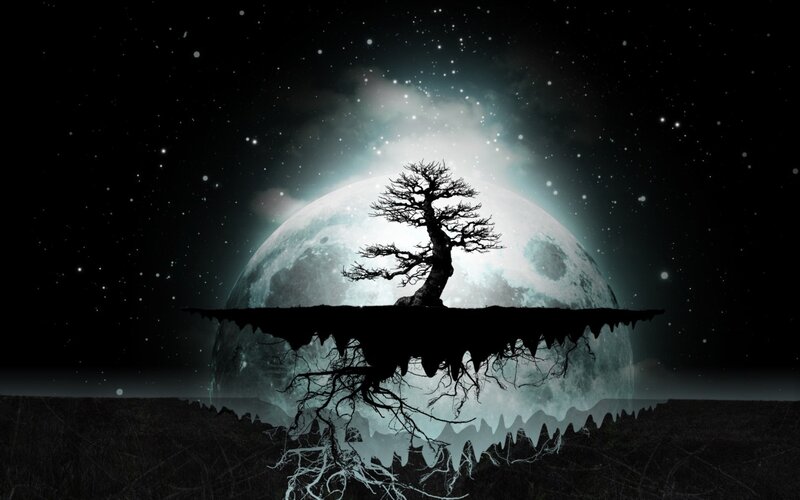 Silhouette Tree on Moon