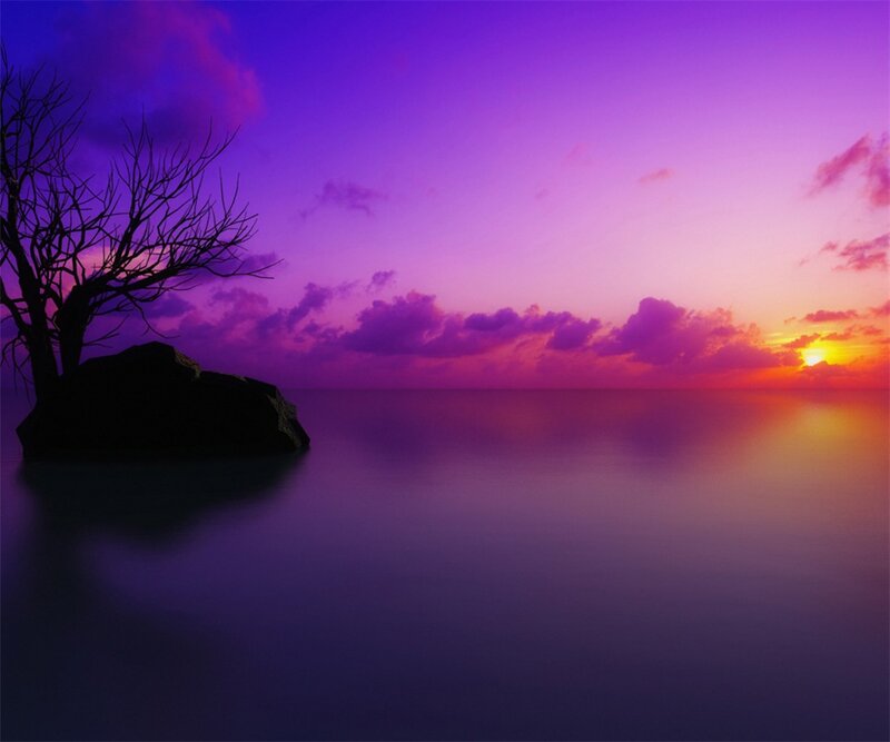 Silhouette Tree on Rock — Purple, Serene, Sunset, Photograph