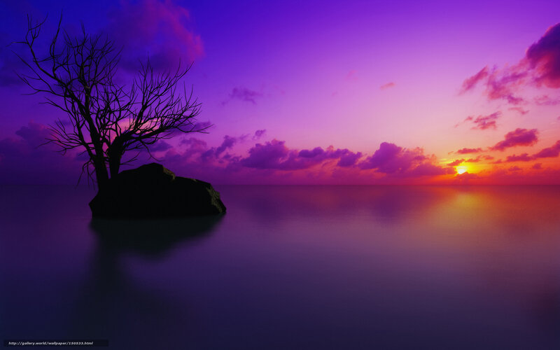 Silhouette Tree on Rock — Purple, Serene