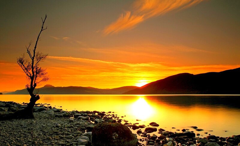 Silhouette Tree on Shore — Orange, Serene, Sunset, Photograph