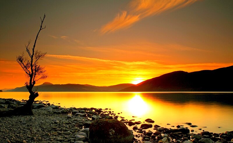 Silhouette Tree on Shore — Orange, Serene