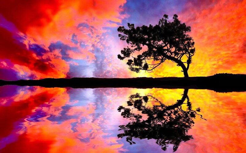 Silhouette Tree on Shore — Red, Dramatic