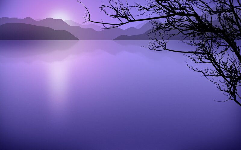 Silhouette Tree over Lake