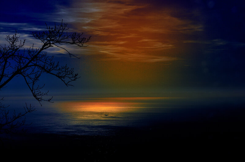 Silhouette Tree over Ocean