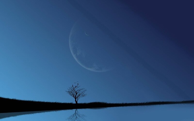 Silhouette tree under alien moon