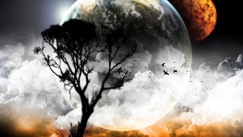 Silhouette tree under alien sky