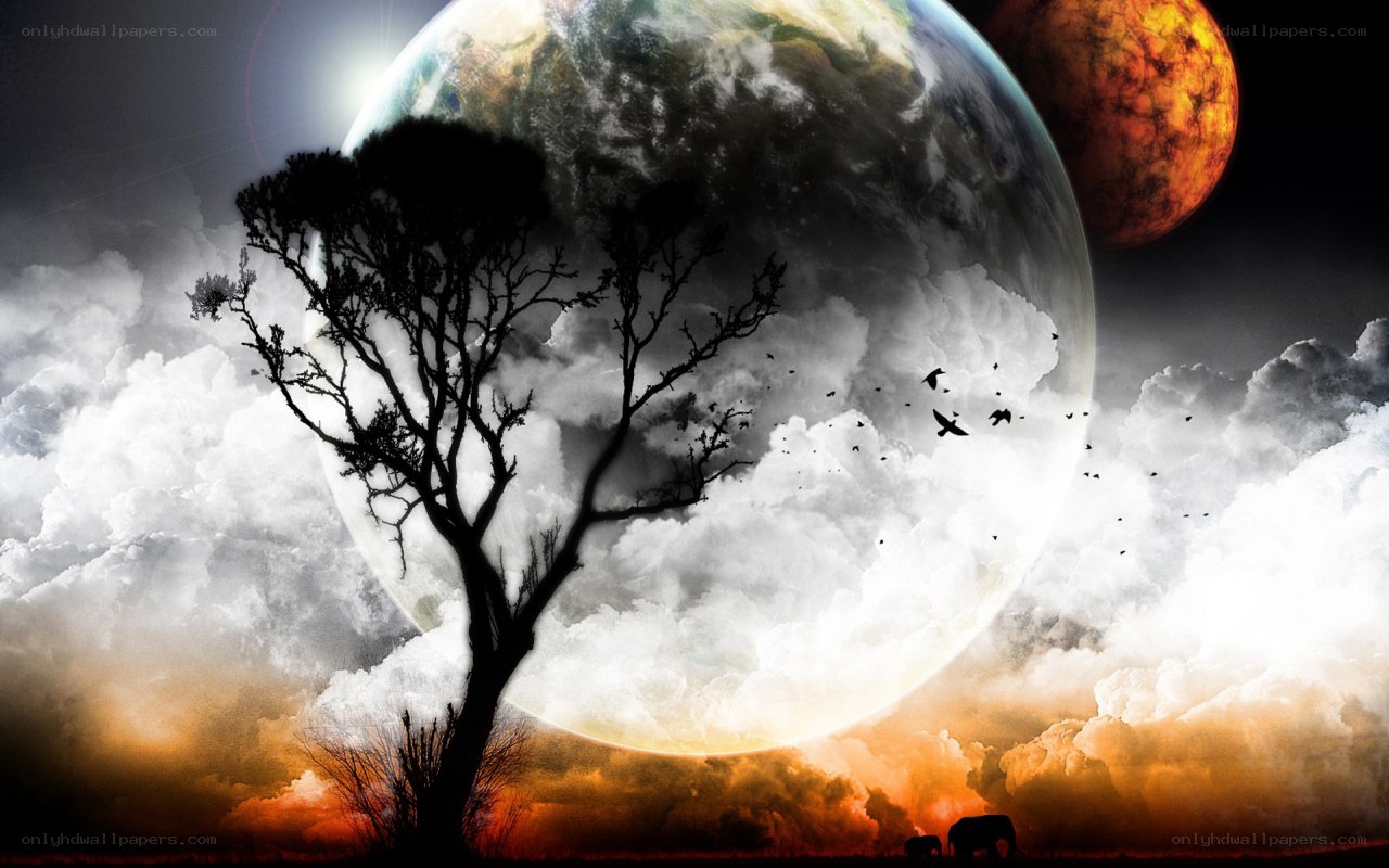 Silhouette tree under alien sky