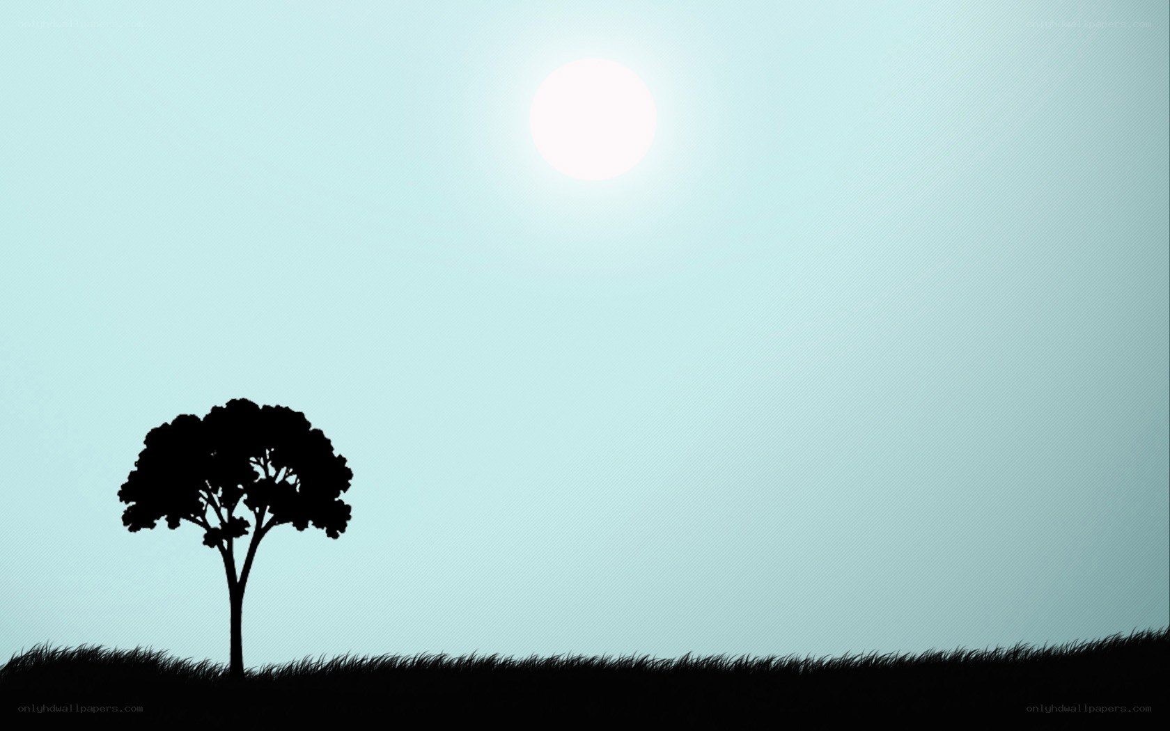 Silhouette tree under bright sun