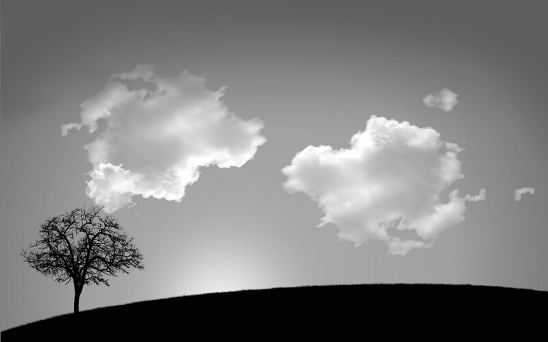 Silhouette tree under clouds