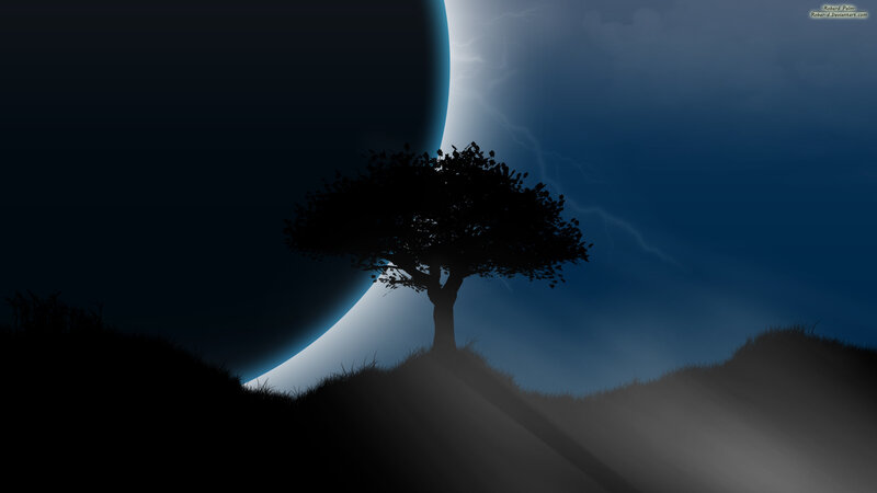 Silhouette tree under crescent moon