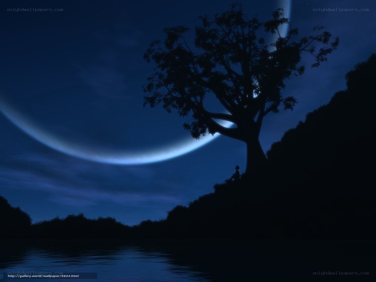 Silhouette tree under crescent moon