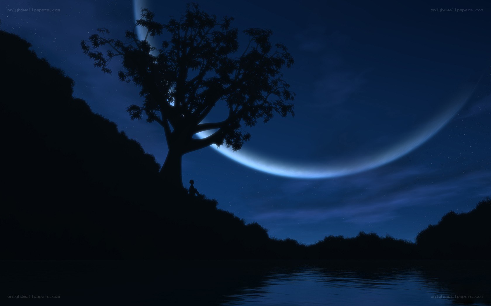 Silhouette tree under crescent moon